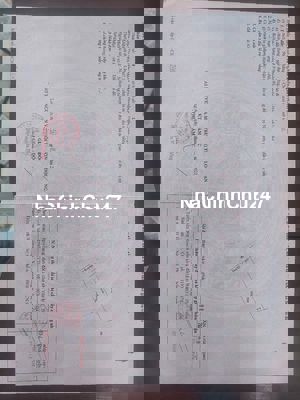 Tôi chủ bán lô đất SHR Hậu nghĩa sát Vin giá 8tr/m2 sang tên ngay!