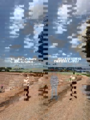 Bán đất thổ cư gần Vinhomes Hậu Nghĩa, Đức Hoà. DT:163m2.Giá 2,888 tỷ.