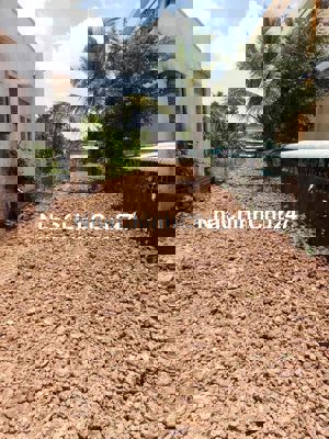 Bán đất mặt tiền đường huyện 12b