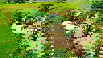 ĐẤT VƯỜN 6500m2 CÓ SẴN THỔ CƯ GIÁ RẺ