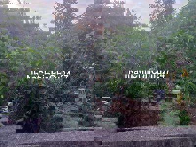 Cc cần bán đất đường lý văn phức.