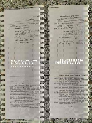 đất trồng cây lâu năm