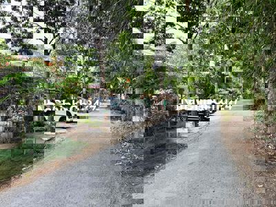 Mặt tiền Lộ cái chanh cần bán gấp