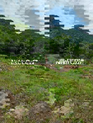 Bán 500m2 đất Núi Cấm có sẳn nhà 100triệu