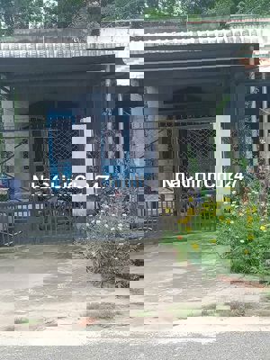 Bán đất mặt tiền đường nhựa An Lập, Bình Dương
