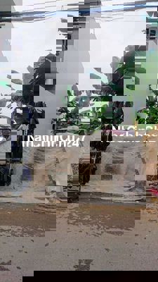 Đất thổ cư mặt tiền đ.số 4-MH4-Xuân Thới Đông-Hóc Môn.Dt 257m2~10,7ty