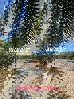 160tr đất vườn sẵn thổ cư cách TPHCM chỉ 80km tại Tân Phú Đông, TG