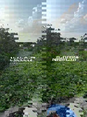 Bán mảnh đất tại Yên Nghĩa - Hà Đông sổ đỏ chính chủ 348m2