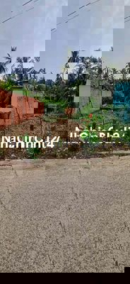 Đất Chính  Chủ