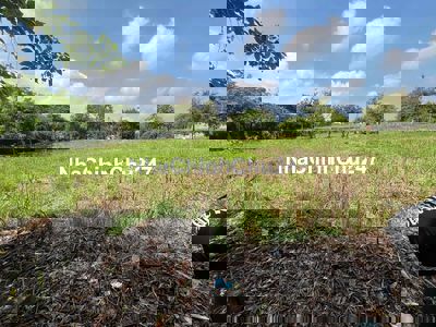 Chinh chủ bán đất mặt tiền Ql50 130m2 shr