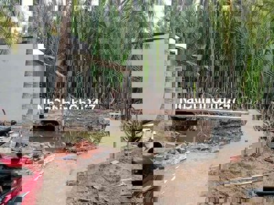 Đất nhà vườn giá rẻ