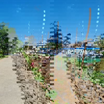 🔥 CHÍNH CHỦ BÁN GẤP LÔ ĐẤT,80 TRIỆU/M – ẤP MỸ PHÚ, TÂN PHƯỚC, TG 🔥