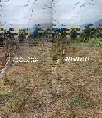 Đất nền Nà Bó 2 Mường Sang Mộc Châu Bìa HNK gần đường QL mặt tiền 13m