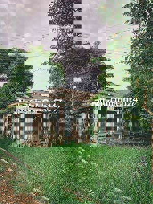 Bán 11231m² đất có sổ hồng riêng, Thạnh Phú - Bến Tre, giá tốt khu vực