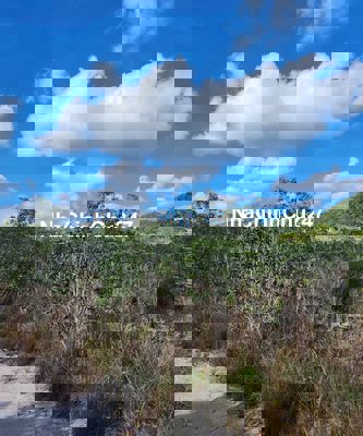 Bán 1 Hecta Đất Mặt Tiền–Gần Cảng Biển&Sân Bay Phú Quốc–Vị Trí Vàng