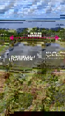 Bán 11.377m2 đất mặt tiền sông Mekong giá rẻ chỉ 246tr/ 1,000m2