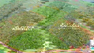 Bán 18,566m2 đất Phước Bình mặt tiền đường nhựa, giá tốt đầu tư