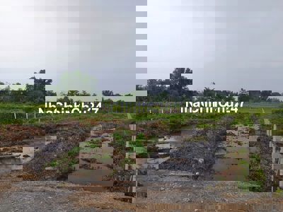 Đất mặt tiền đường xã Bình Mỹ giá ngộp 1.4 triệu/m2