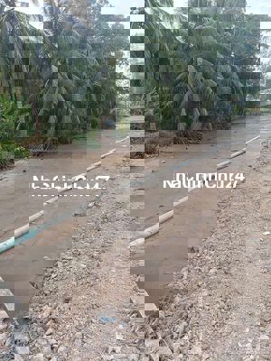 Bán nền mặt tiền lộ nhựa