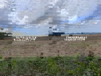 BÁN ĐẤT MẶT TIỀN TỈNH LỘ 933C, LONG PHÚ, SÓC TRĂNG