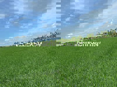 BÁN LỖ 9,5C RUỘNG & 2 NỀN MẶT TIỀN THOẠI SƠN