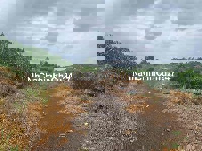 Ngộp Cần Bán Gấp Đất Mặt Tiền Nguyễn Viết Xuân Đambri Bảo Lộc Lâm Đồng