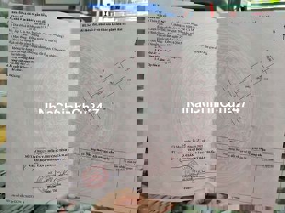 Đất trồng lúa nước mặt tiền 500m2 xã Khánh An huyện U Minh