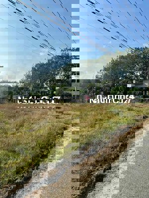 Ngợp bank bán gấp 750m2 đất mặt tiền Bến Đình full thổ