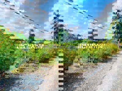 CẦN BÁN GẤP ĐẤT MẶT TIỀN 19.5M BẾN LỨC - ĐẤT ĐẸP, VỊ TRÍ HOT