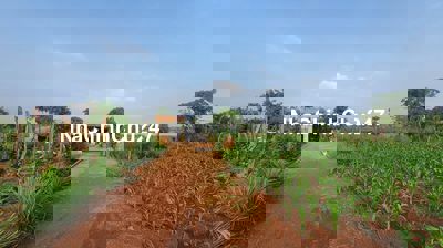 cần bán 6,6 sào đất 2 mặt tiền, có nhà tạm