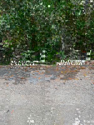 chinh chủ gửi bán lo dat dang kinh danh