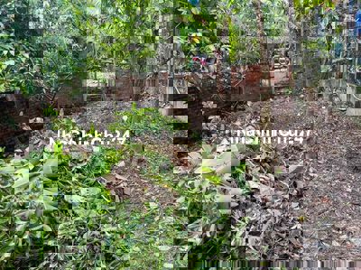 CẦN BÁN NHÀ VÀ ĐẤT NGAY TT TX CAI LẬY TIỀN GIANG