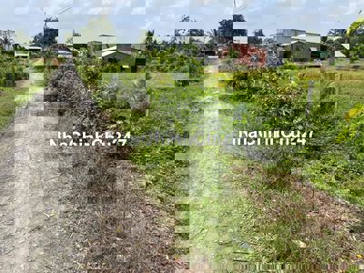 1000m2 (380tr) đất vườn CLN xây dựng nhà, lập vườn tự do