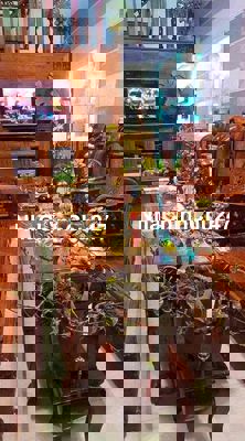 Nhà Full nội thất khu Lê Thanh Nghị