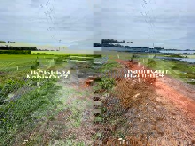 bán 5 sào đất ruộng - Quy hoạch đất ở màu hồng - Gần nút giao 319