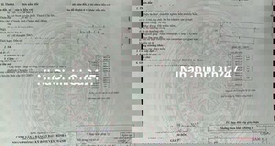 Bán gấp lô đất 1.346 m2 tại xã Bình Chánh công chứng ngay