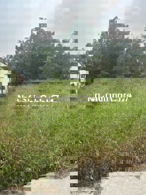 Bán gấp đất MT đường 4m xã Tân Nhựt, Bình Chánh,15x33m (500m2), 2 tỷ