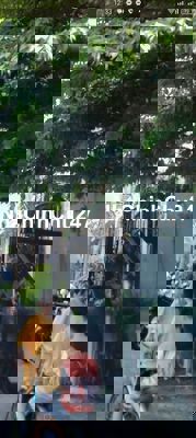 CHỦ CẦN BÁN LÔ ĐẤT SHR ,ĐẤT THỔ CƯ ,ĐƯỜNGTCH 03,PTCH ,Q-12- 10 NG CSỔ