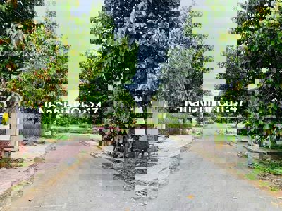 ĐẤT NỀN TÁI ĐỊNH CƯ LONG B MỸ THO - ĐƯỜNG SỐ 8