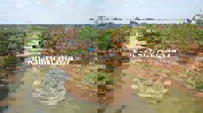 BÁN LÔ ĐẤT RẪY 13HA ĐẤT ĐỎ BAZAN TẠI CHƯPĂH - PLEIKU - GIA LAI