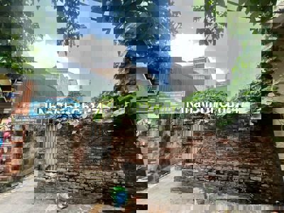 Cần bán gấp đất Thôn Tự Khoát, Xã Ngũ Hiệp, Huyện Thanh Trì, Hà Nội