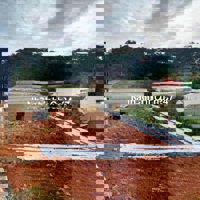 Bán đất đẹp tại Đà Lạt – giá cực mềm cho nhà đầu tư