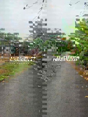 BÁN 1884m đất Nhị Bình - 9,5 tỷ