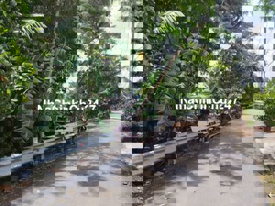 1200m2 đất xã Bình Mỹ gần Hóc Môn chỉ 1.8 tỷ TL