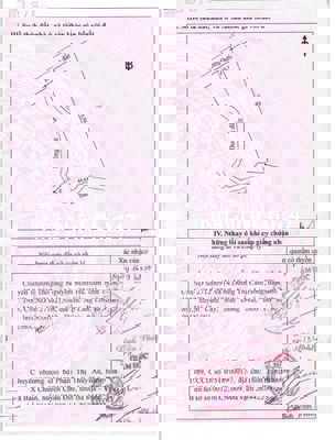 Bán gấp 1955m² đất Xuân Mỹ