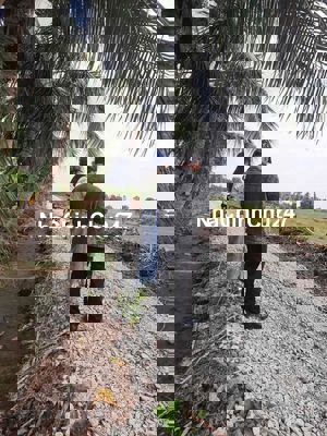 Còn vài lô đất vườn 500m2 - Gần Agora city Tân Thành