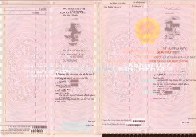 Bán đất GẤP GIÁ RẺ Xuyên Mộc, Vũng Tàu, 1,2 tỷ, 1050 m2 (thương lượng)