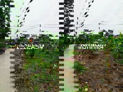 bán lô đất vườn 500m2-giá 1 tỷ 350 tr- gần chợ hưng long- bình chánh