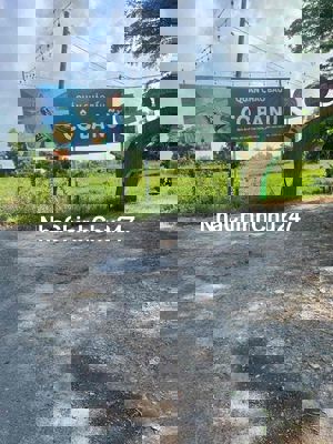 Đất 33x35 Sổ Hồng Đất Trồng Cây Lâu Năm