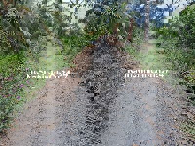 Cần bán gấp hơn 4 công đất vườn